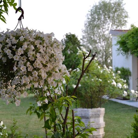 Villa Two Elegant Depandance Conscio Exterior foto